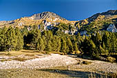 Sentiero naturalistico del Lucomagno (Svizzera). Cembreta della valle del Brenno alle pendici del Piz Scopi.